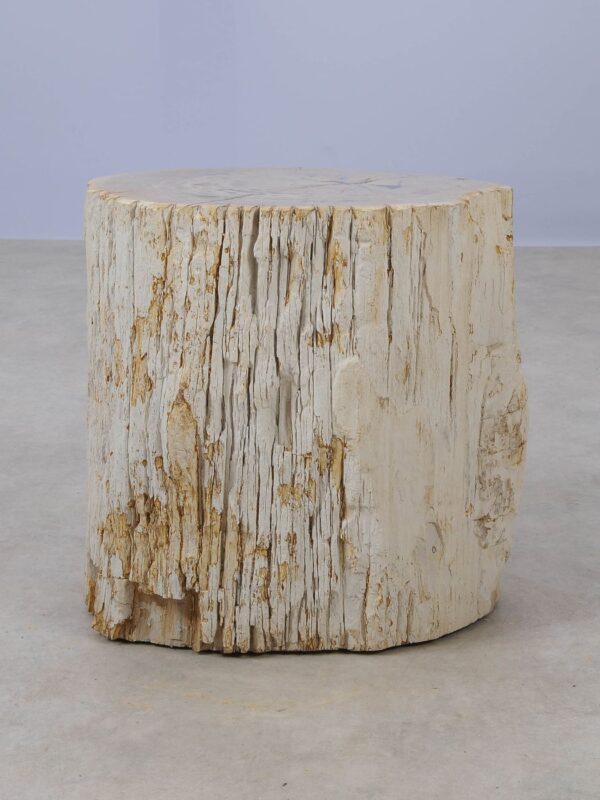 Side table petrified wood 53027