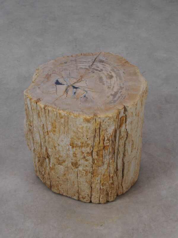 Side table petrified wood 53027