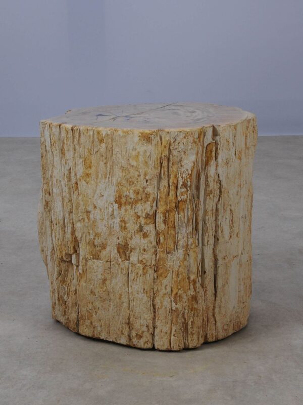 Side table petrified wood 53027