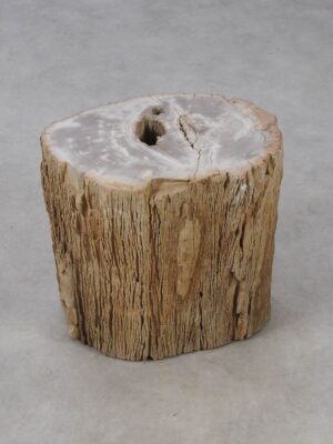 Side table petrified wood 53029