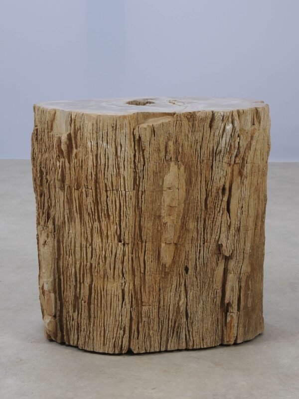 Side table petrified wood 53029