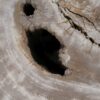 Side table petrified wood 53029