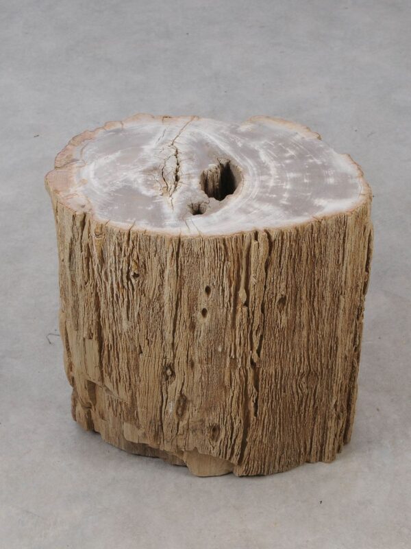 Side table petrified wood 53029