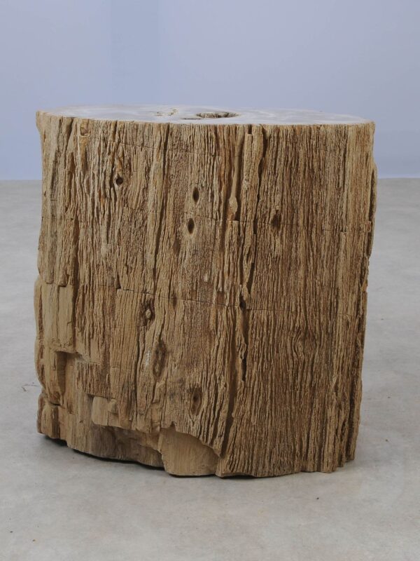 Side table petrified wood 53029