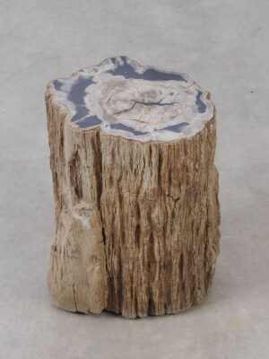 Side table petrified wood 53030