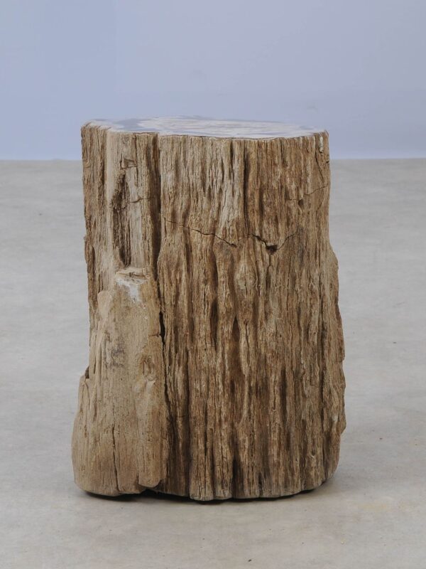 Side table petrified wood 53030