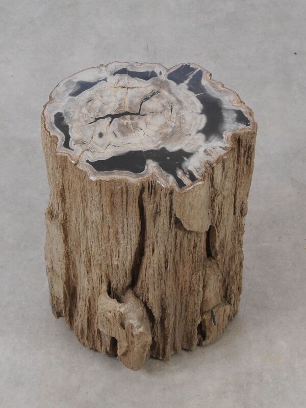 Side table petrified wood 53030