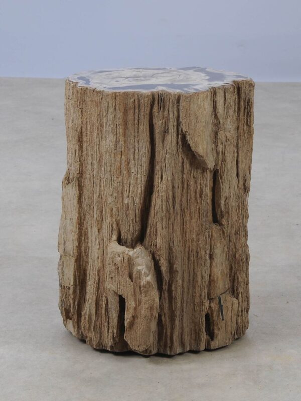 Side table petrified wood 53030