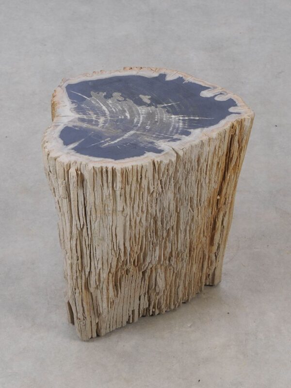 Side table petrified wood 53037