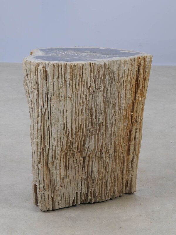 Side table petrified wood 53037