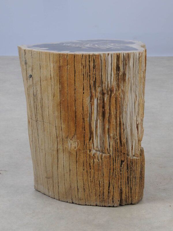 Side table petrified wood 53037