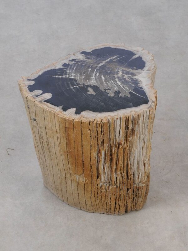 Side table petrified wood 53037