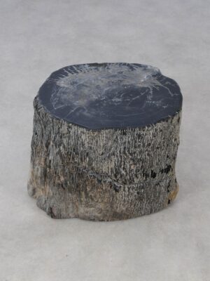 Side table petrified wood 54002