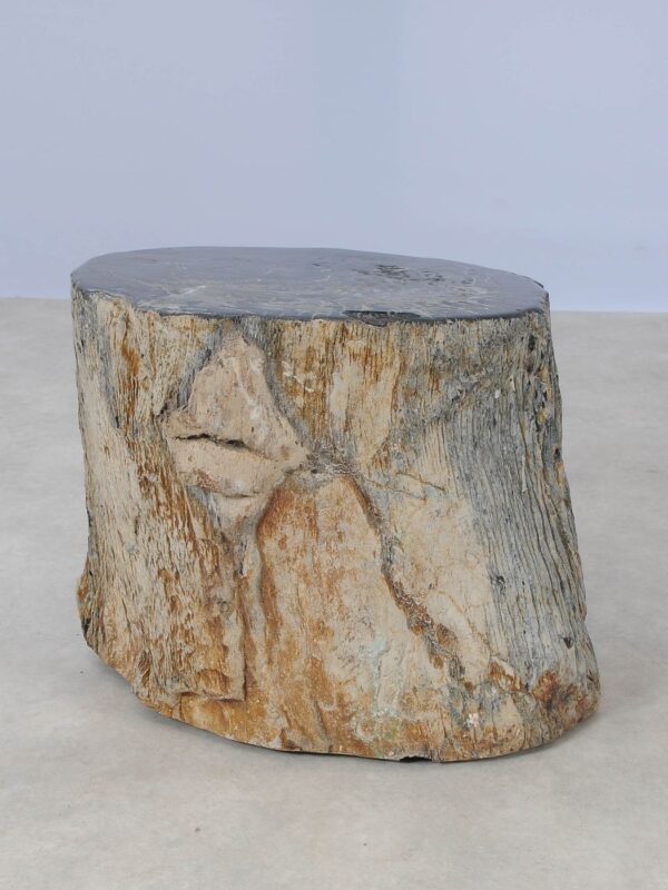 Side table petrified wood 54002