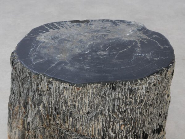 Side table petrified wood 54002