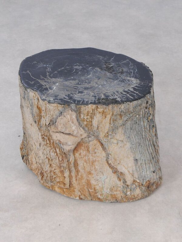 Side table petrified wood 54002