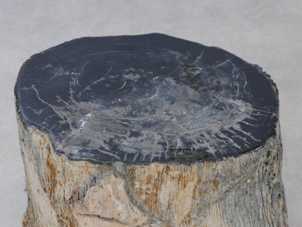 Side table petrified wood 54002