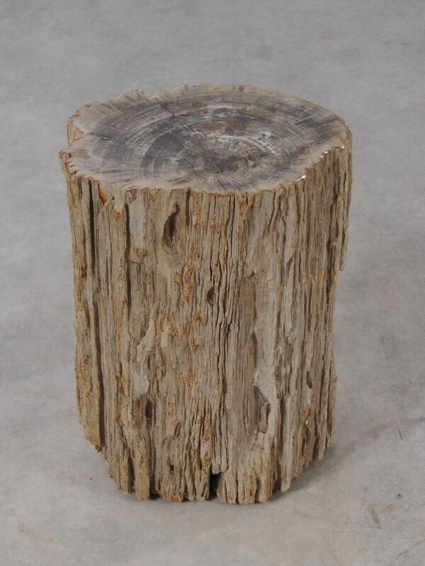 Side table petrified wood 54005