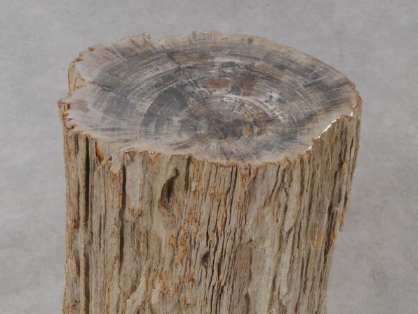 Side table petrified wood 54005