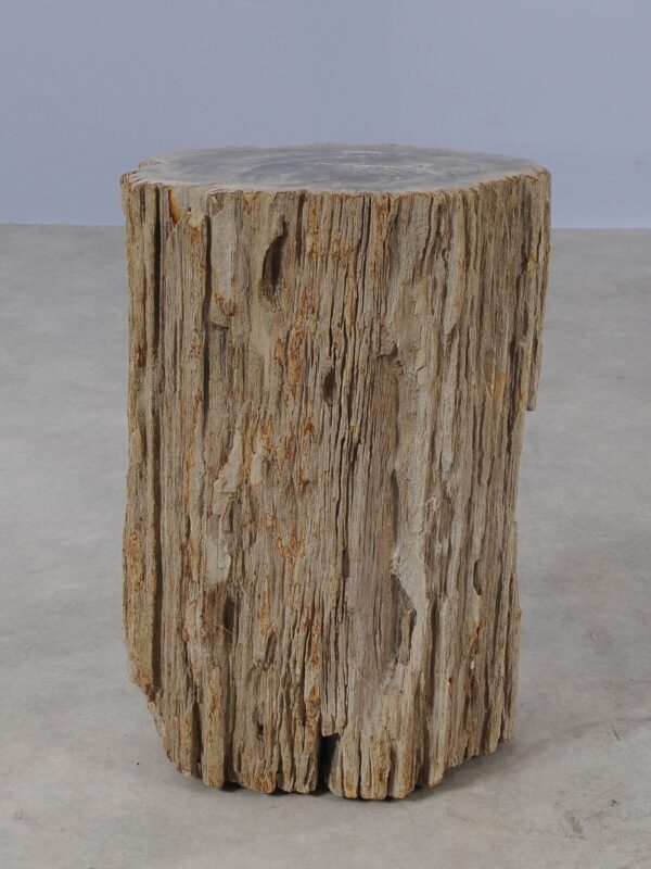 Side table petrified wood 54005