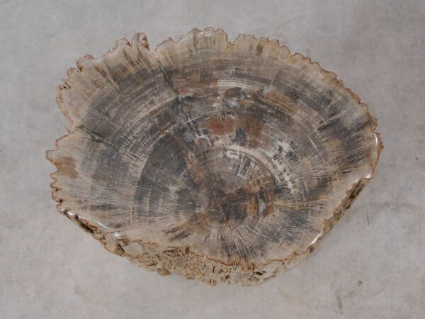 Side table petrified wood 54005