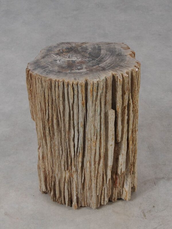 Side table petrified wood 54005