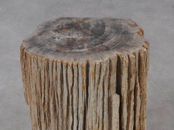 Side table petrified wood 54005