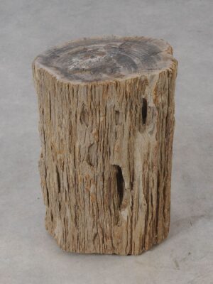 Side table petrified wood 54006