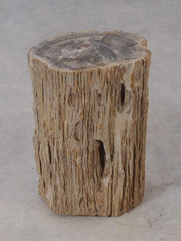 Side table petrified wood 54006