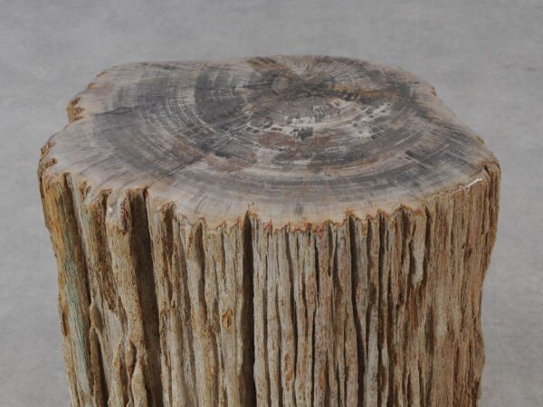 Side table petrified wood 54006