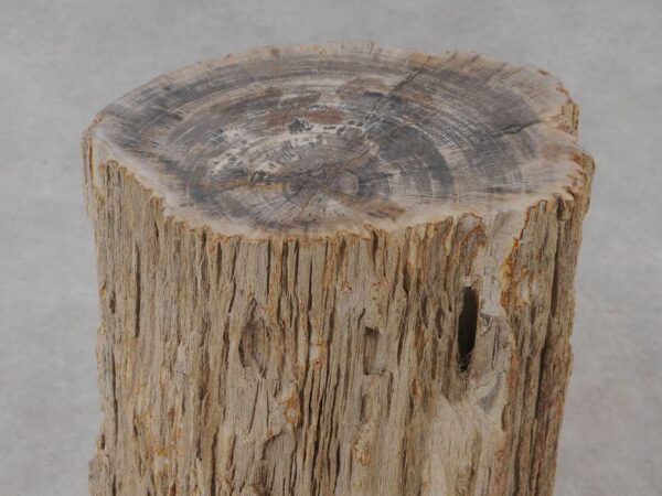 Side table petrified wood 54006