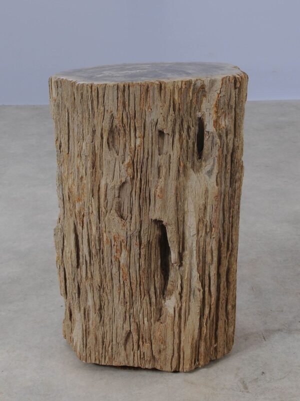 Side table petrified wood 54006