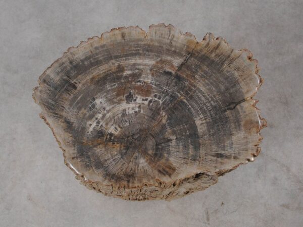 Side table petrified wood 54006