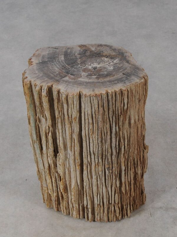 Side table petrified wood 54006