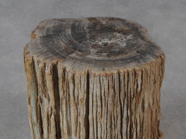 Side table petrified wood 54006