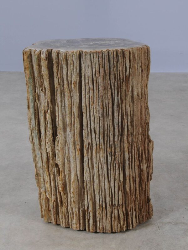 Side table petrified wood 54006