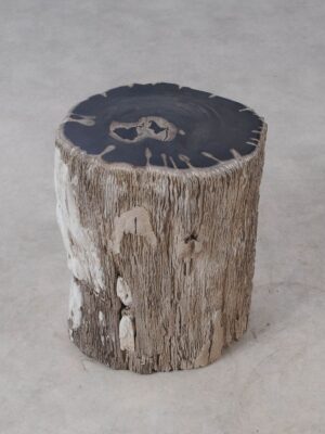 Side table petrified wood 54009