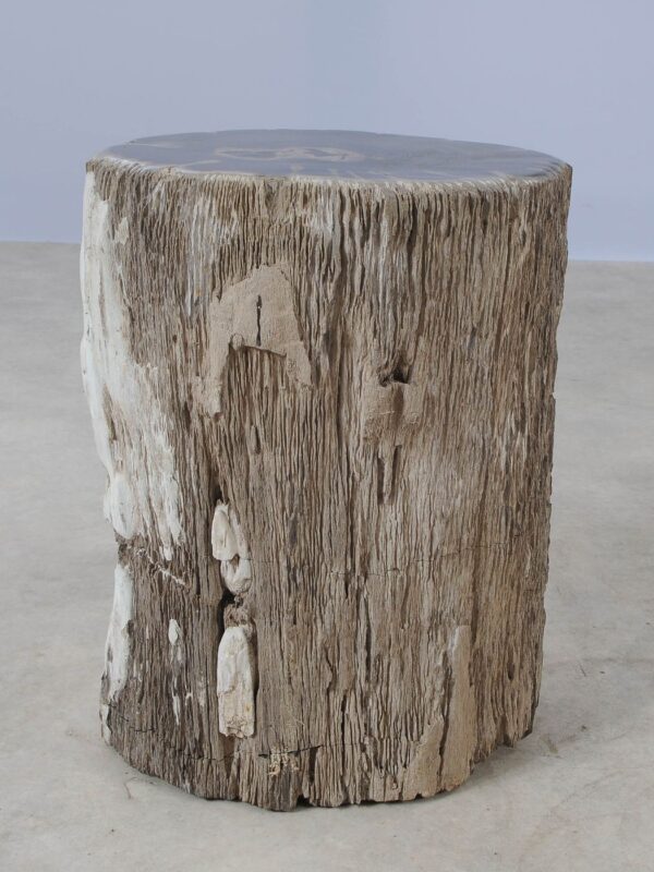 Side table petrified wood 54009