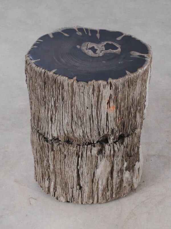 Side table petrified wood 54009