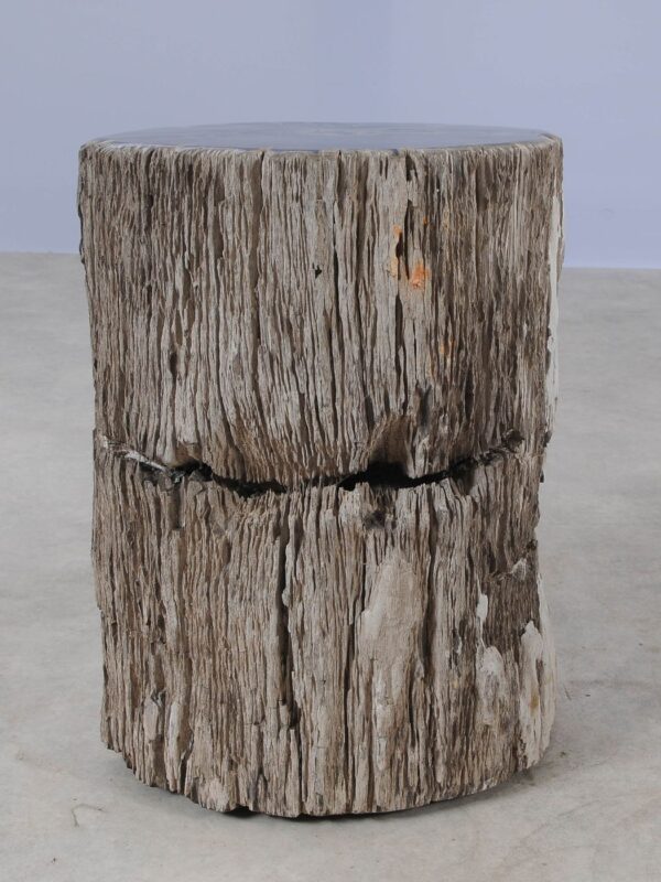 Side table petrified wood 54009