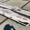 Table en bois pétrifié 54242