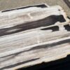Table en bois pétrifié 54242