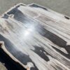 Table en bois pétrifié 54242