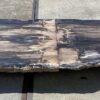 Table en bois pétrifié 54243