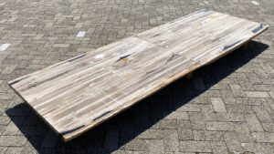 Table en bois pétrifié 54249