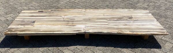 Table en bois pétrifié 54250