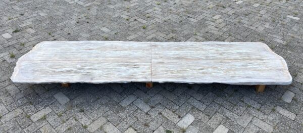 Table en bois pétrifié 54254