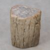 Table d'appoint bois pétrifié 53016