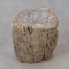 Table d'appoint bois pétrifié 53016