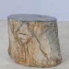Table d'appoint bois pétrifié 54002